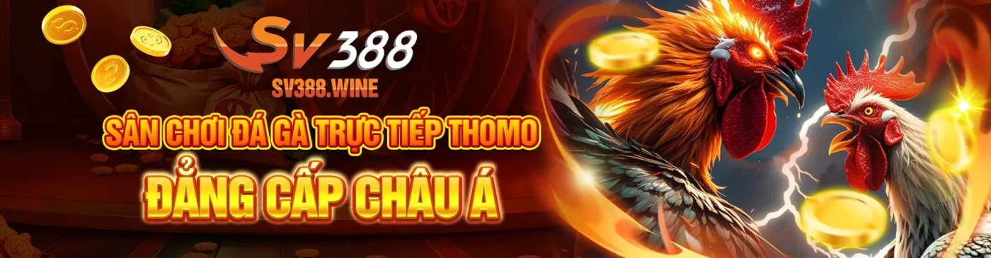 SV388 - Sân Chơi Đá Gà Trực Tiếp Thomo Đẳng Cấp Châu Á