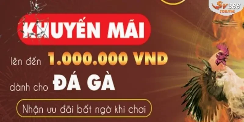 Chương trình VIP SV388 với quyền lợi độc quyền đỉnh cao