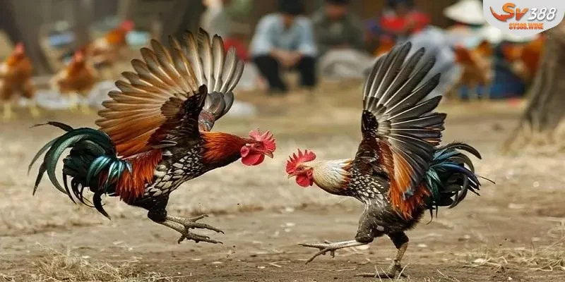 Trả lời những câu hỏi được người chơi đưa ra