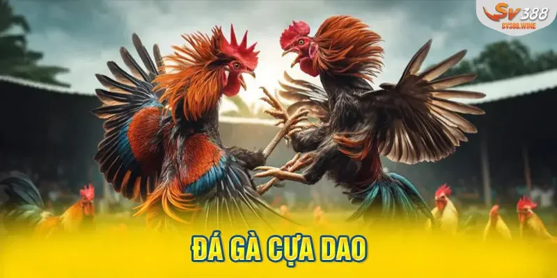 Đá Gà Cựa Dao SV388 - Siêu Phẩm Đáng Trải Nghiệm Nhất 2025