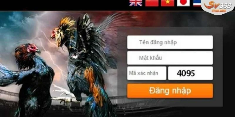 Đăng nhập tài khoản trên website với các bước đơn giản cho người mới