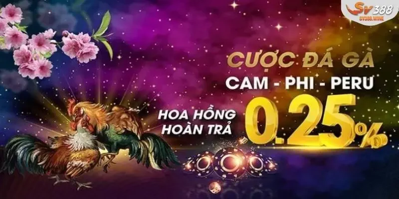 Điều kiện nhận thưởng lớn từ chương trình VIP SV388
