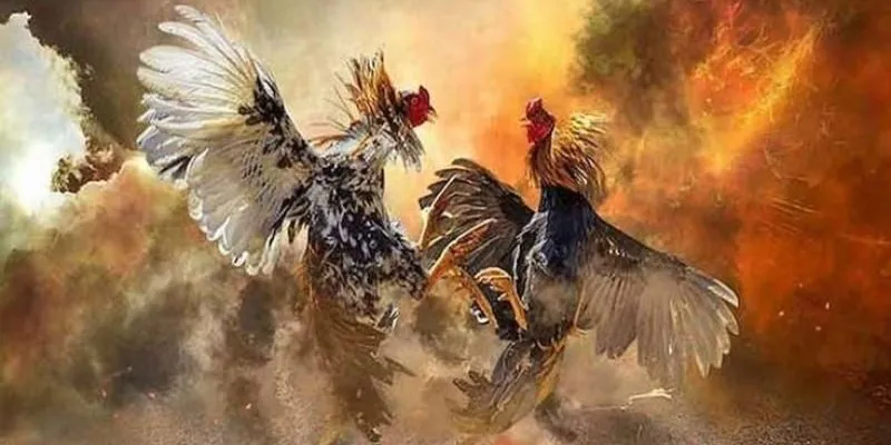 Trang Đá Gà Uy Tín - Lựa Chọn Đáng Tin Cậy Cho Người Chơi