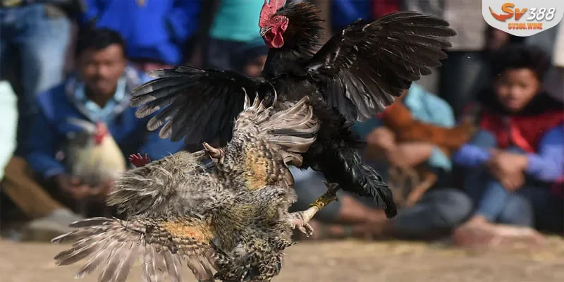 Người chơi có thể nhận được tiền thưởng trong vòng 1 nốt nhạc